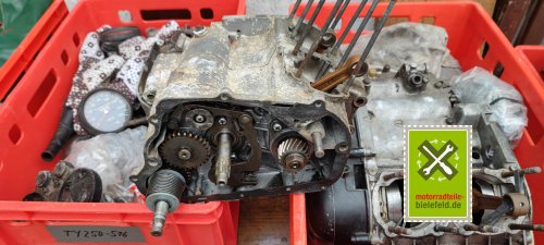 IMG_20230829_111853